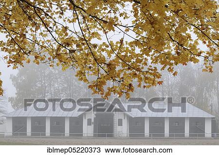 Stock Image - Mare stable, Arabian Stud Janow Podlaski in autumn, Poland, Europe. Fotosearch