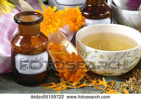 Marigold (Calendula officinalis), dried flowers, cup of marigold tea, marigold tea View Large Photo Image Stock Image - Marigold (Calendula officinalis), dried flowers, cup of marigold tea, marigold tea. Fotosearch