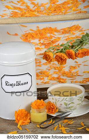 Marigold (Calendula officinalis), marigold tea, marigold ointment View Large Photo Image Stock Image - Marigold (Calendula officinalis), marigold tea, marigold ointment. Fotosearch