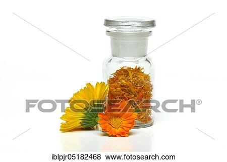 Stock Photo - Marigoldsdried petals in vials (Calendula officinalis), tea, wing-flower tea. Fotosearch