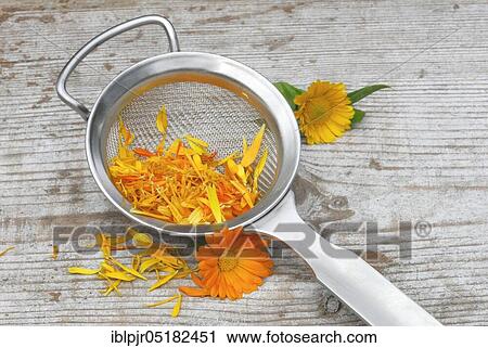 Stock Image - MarigoldsPetals in tea strainer (Calendula officinalis), tea, wing-flower tea. Fotosearch
