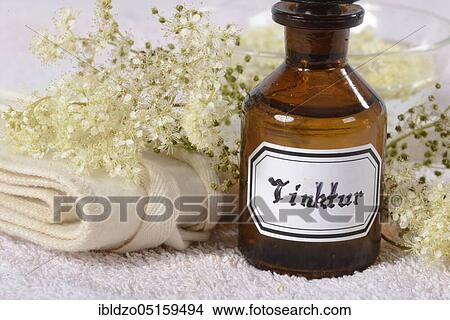 Meadowsweet tincture, Meadowsweet (Filipendula ulmaria), Legwort, Goatbeard, Spikeweed, Meadow Queen, Wild Lilac, Crampwort, Meadowsweet tincture View Large Photo Image Picture - Meadowsweet tincture, Meadowsweet (Filipendula ulmaria), Legwort, Goatbeard, Spikeweed, Meadow Queen, Wild Lilac, Crampwort, Meadowsweet tincture. Fotosearch