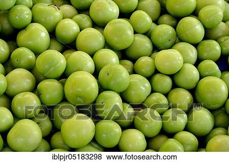 Stock Photo - Mirabelle plums, green, unripe mirabelle plums, Turkish plums, are eaten green with salt, Turkey, Asia. Fotosearch