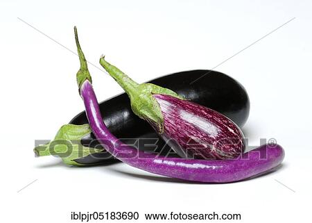 Stock Image - Miscellaneous Egg plants ( Solanum melongena). Fotosearch