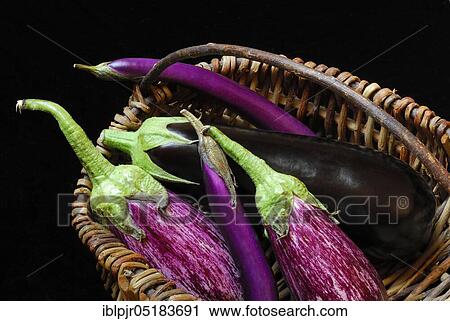 Miscellaneous Egg plants ( Solanum melongena) View Large Photo Image Stock Image - Miscellaneous Egg plants ( Solanum melongena). Fotosearch