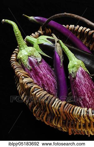 Stock Image - Miscellaneous Egg plants ( Solanum melongena). Fotosearch