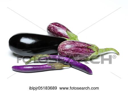 Stock Photo - Miscellaneous Egg plants ( Solanum melongena). Fotosearch
