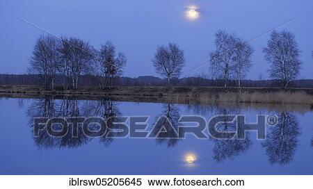Moonrise, Goldenstedter Moor, Lower Saxony, Germany, Europe View Large Photo Image Stock Photography - Moonrise, Goldenstedter Moor, Lower Saxony, Germany, Europe. Fotosearch