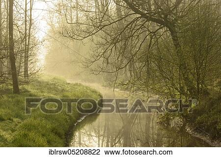 Moorbach, beech forest, Füchteler Wald, County of Vechta, Oldenburger Münsterland, Lower Saxony, Germany, Europe View Large Photo Image Stock Image - Moorbach, beech forest, Füchteler Wald, County of Vechta, Oldenburger Münsterland, Lower Saxony, Germany, Europe. Fotosearch