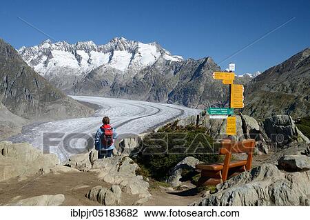 Moosfluh viewpoint, view of the Aletsch Glacier, Great Aletsch Glacier, Valais, Switzerland, Europe View Large Photo Image Stock Image - Moosfluh viewpoint, view of the Aletsch Glacier, Great Aletsch Glacier, Valais, Switzerland, Europe. Fotosearch