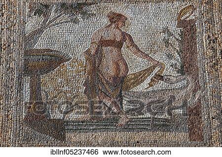 Mosaic Leda and the Swan, excavation site Old Paphos, Kouklia, Cyprus, Europe View Large Photo Image Stock Photograph - Mosaic Leda and the Swan, excavation site Old Paphos, Kouklia, Cyprus, Europe. Fotosearch