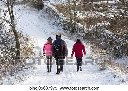Mother and daughter walking horse along lane on snowy morning, Hawes, Wensleydale, Yorkshire Dales N. P., North Yorkshire, England, United Kingdom, Europe View Large Photo Image Stock Photography - Mother and daughter walking horse along lane on snowy morning, Hawes, Wensleydale, Yorkshire Dales N. P., North Yorkshire, England, United Kingdom, Europe. Fotosearch