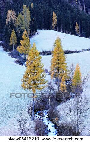 Stock Image - Mountain stream, Paznauntal, Tyrol, Austria, Europe. Fotosearch
