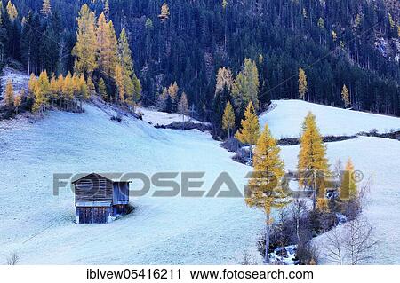 Stock Image - Mountain stream, Paznauntal, Tyrol, Austria, Europe. Fotosearch