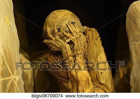 Picture - Mummies of the Chachapoya culture in the museum of Leymebamba, province of Chachapoyas, Amazonas region, Peru, South America. Fotosearch