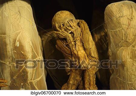 Stock Image - Mummies of the Chachapoya culture in the museum of Leymebamba, province of Chachapoyas, Amazonas region, Peru, South America. Fotosearch