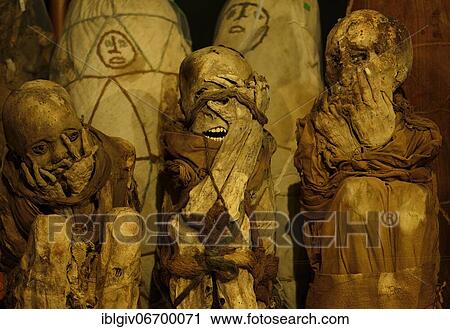 Stock Image - Mummies of the Chachapoya culture in the museum of Leymebamba, province of Chachapoyas, Amazonas region, Peru, South America. Fotosearch