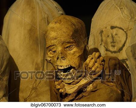 Stock Image - Mummies of the Chachapoya culture in the museum of Leymebamba, province of Chachapoyas, Amazonas region, Peru, South America. Fotosearch