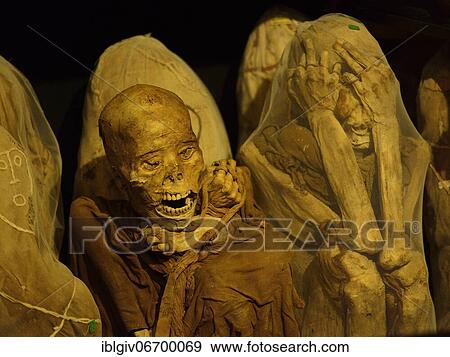 Mummies of the Chachapoya culture in the museum of Leymebamba, province of Chachapoyas, Amazonas region, Peru, South America View Large Photo Image Stock Photo - Mummies of the Chachapoya culture in the museum of Leymebamba, province of Chachapoyas, Amazonas region, Peru, South America. Fotosearch