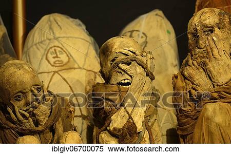 Mummies of the Chachapoya culture in the museum of Leymebamba, province of Chachapoyas, Amazonas region, Peru, South America View Large Photo Image Stock Photography - Mummies of the Chachapoya culture in the museum of Leymebamba, province of Chachapoyas, Amazonas region, Peru, South America. Fotosearch