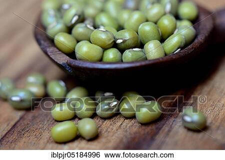 Mung beans ( Vigna radiata) ( Vigna mungo), Phaseolus mungo), Mung Dai, Mung Daal, food, food, nutrition, fruits and vegetables, seeds, seeds, legume View Large Photo Image Stock Photograph - Mung beans ( Vigna radiata) ( Vigna mungo), Phaseolus mungo), Mung Dai, Mung Daal, food, food, nutrition, fruits and vegetables, seeds, seeds, legume. Fotosearch