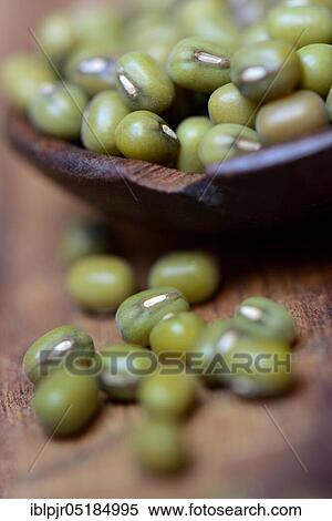 Stock Photography - Mung beans ( Vigna radiata) ( Vigna mungo), Phaseolus mungo), Mung Dai, Mung Daal, food, food, nutrition, fruits and vegetables, seeds, seeds, legume. Fotosearch