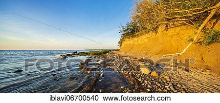 Natural coastal landscape at the Baltic Sea, cliff in the evening light, Hohen Wieschendorf Huk, near Wismar, Mecklenburg-Western Pomerania, Germany, Europe View Large Photo Image Stock Image - Natural coastal landscape at the Baltic Sea, cliff in the evening light, Hohen Wieschendorf Huk, near Wismar, Mecklenburg-Western Pomerania, Germany, Europe. Fotosearch