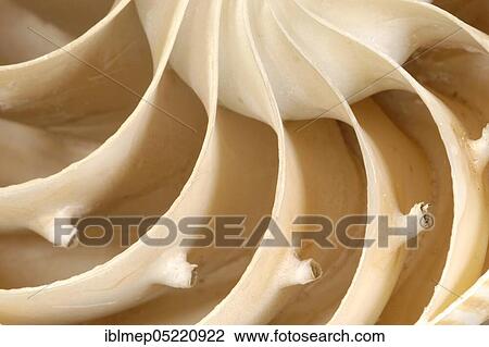 Nautilus (Nautilus pompilius), l. s. of shell with chambers View Large Photo Image Stock Image - Nautilus (Nautilus pompilius), l. s. of shell with chambers. Fotosearch