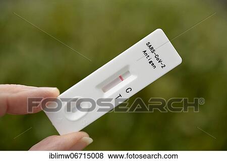 Negative Antigen Rapid Test, Test Cassette, Corona Crisis, Germany, Europe View Large Photo Image Stock Photo - Negative Antigen Rapid Test, Test Cassette, Corona Crisis, Germany, Europe. Fotosearch