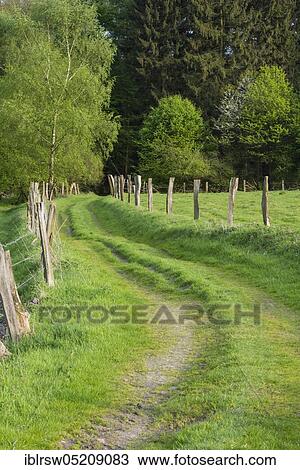 Stock Image - Nienhauser Talwiesen, District of Vechta, Oldenburger Münsterland, Lower Saxony, Germany, Nienhauser Wiesen, Dammer Berge, Dammer Switzerland, Europe. Fotosearch