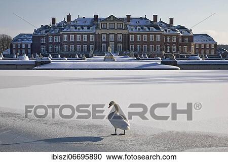 Stock Image - Nordkirchen Castle in winter with a mute swan on the ice, Nordkirchen, Münsterland, North Rhine-Westphalia, Germany, Europe. Fotosearch