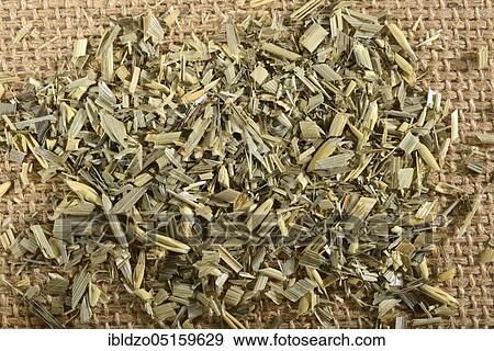 Stock Photo - Oat straw (Avena sativa), Oats. Fotosearch