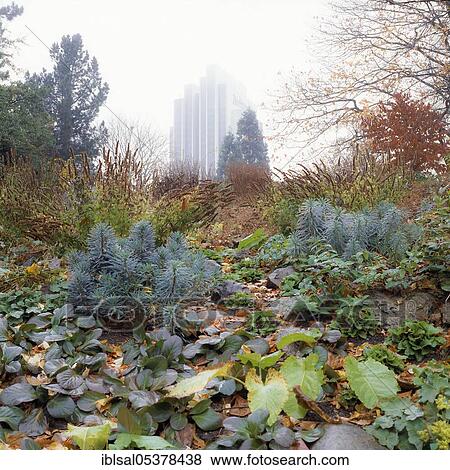 Stock Photo - Old botanical garden in Hamburg, Germany, Europe. Fotosearch