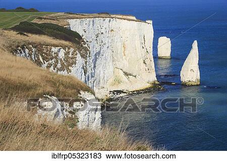 Old Harry Rocks, Swanage Bay, chalk cliff coast, Bournemouth, Jurassic Coast World Heritage Site, Dorset, England, United Kingdom, Europe View Large Photo Image Stock Image - Old Harry Rocks, Swanage Bay, chalk cliff coast, Bournemouth, Jurassic Coast World Heritage Site, Dorset, England, United Kingdom, Europe. Fotosearch