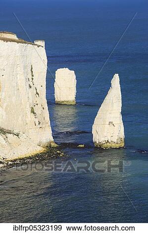 Stock Photo - Old Harry Rocks, Swanage Bay, chalk cliff coast, Bournemouth, Jurassic Coast World Heritage Site, Dorset, England, United Kingdom, Europe. Fotosearch