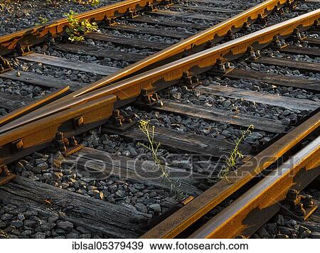 Old railway tracks, Krupp rails, railway sleepers, Hamburg, Germany, Europe View Large Photo Image Stock Photo - Old railway tracks, Krupp rails, railway sleepers, Hamburg, Germany, Europe. Fotosearch