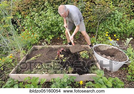 Organic garden, creation of raised beds, composting View Large Photo Image Picture - Organic garden, creation of raised beds, composting. Fotosearch