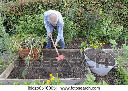 Organic garden, creation of raised beds, composting View Large Photo Image Stock Image - Organic garden, creation of raised beds, composting. Fotosearch