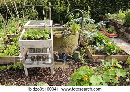 Stock Image - Organic garden, nature garden, box system. Fotosearch