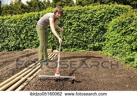 Organic garden, sowing onions, drawing seed furrows View Large Photo Image Stock Image - Organic garden, sowing onions, drawing seed furrows. Fotosearch
