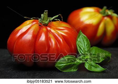 Stock Image - Ox heart, ox heart (Solanum lycopersicum), Cuore di bue, meat, meatTomato, basil. Fotosearch