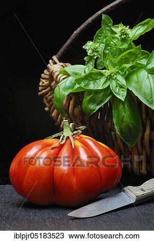 Ox heart, ox heart (Solanum lycopersicum), Cuore di bue, meat, meatTomato, basil View Large Photo Image Stock Image - Ox heart, ox heart (Solanum lycopersicum), Cuore di bue, meat, meatTomato, basil. Fotosearch
