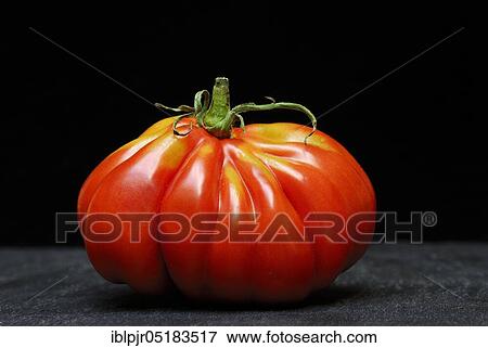 Ox heart, ox heart (Solanum lycopersicum), Cuore di bue, meatTomato, meat View Large Photo Image Stock Photo - Ox heart, ox heart (Solanum lycopersicum), Cuore di bue, meatTomato, meat. Fotosearch
