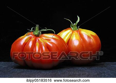 Ox heart, ox heart (Solanum lycopersicum), Cuore di bue, meatTomato, meat View Large Photo Image Stock Photograph - Ox heart, ox heart (Solanum lycopersicum), Cuore di bue, meatTomato, meat. Fotosearch