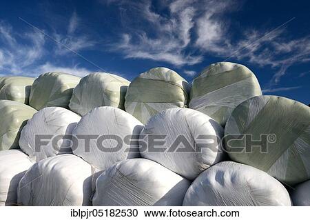 Stock Image - Packed hay bales, hay. Fotosearch