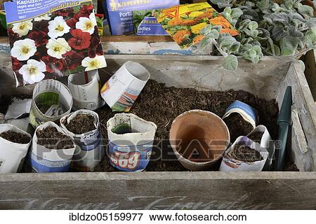 Stock Photo - Paper pot, paper pot. Fotosearch