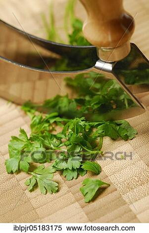 Parsley (Petroselinum crispum) and chopping knives, smooth, kitchen herbs, knives View Large Photo Image Stock Photography - Parsley (Petroselinum crispum) and chopping knives, smooth, kitchen herbs, knives. Fotosearch