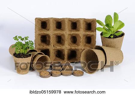 Stock Photo - Peat pots, peat pot. Fotosearch