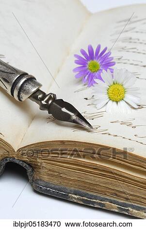 Stock Image - Pen with nib on book, old writing, ink, diary. Fotosearch