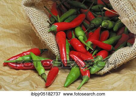 Stock Photo - Peppers, hot peppers, chillies, chilli, cayenne, cayenne pepper (Capsicum frutescens), piri-piri, tabasco, jute bag. Fotosearch